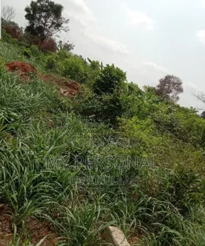Plot of Land