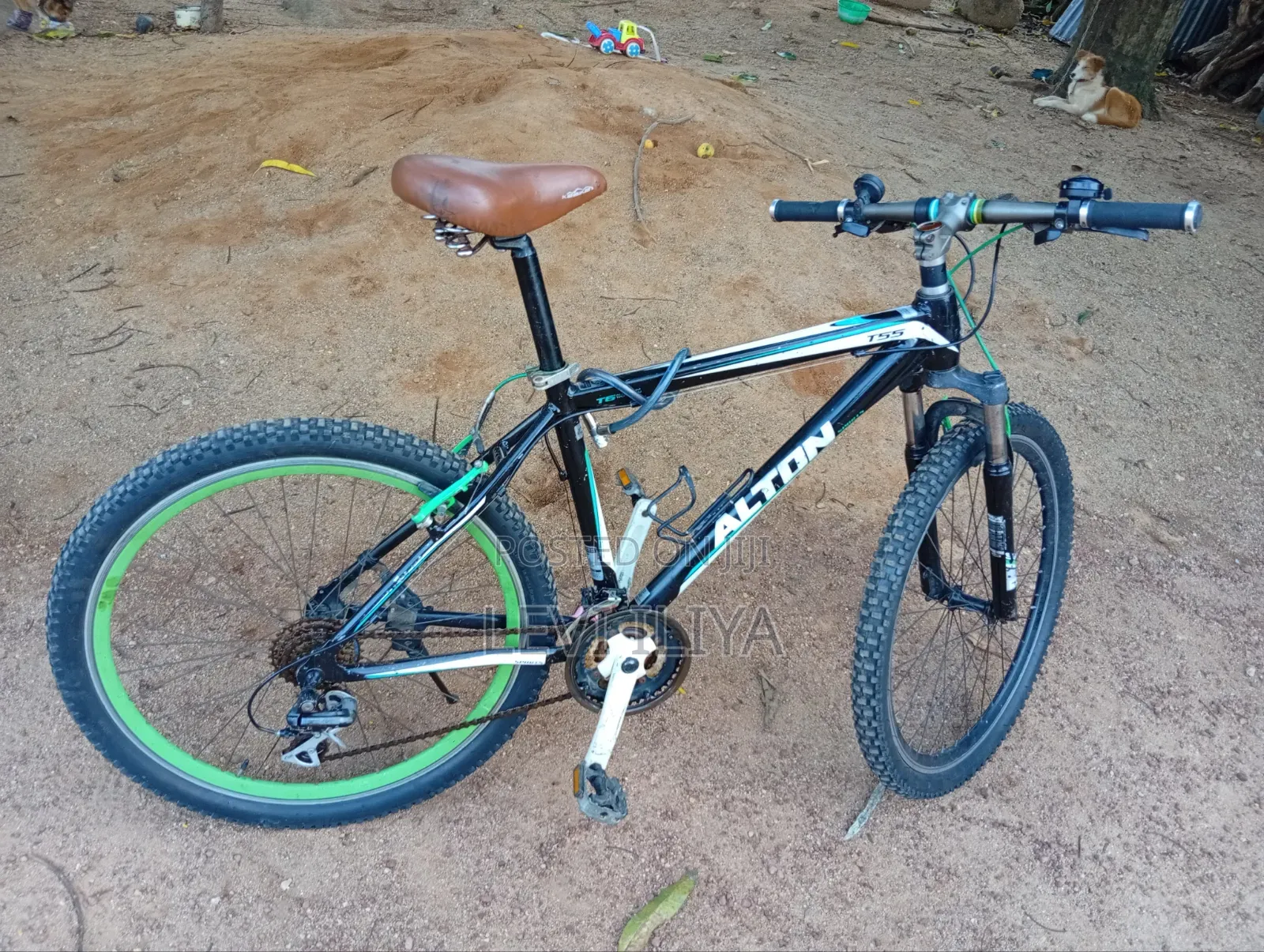 Mountain Bicycle