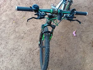 Mountain Bicycle