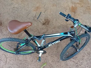 Mountain Bicycle