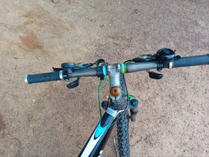 Mountain Bicycle