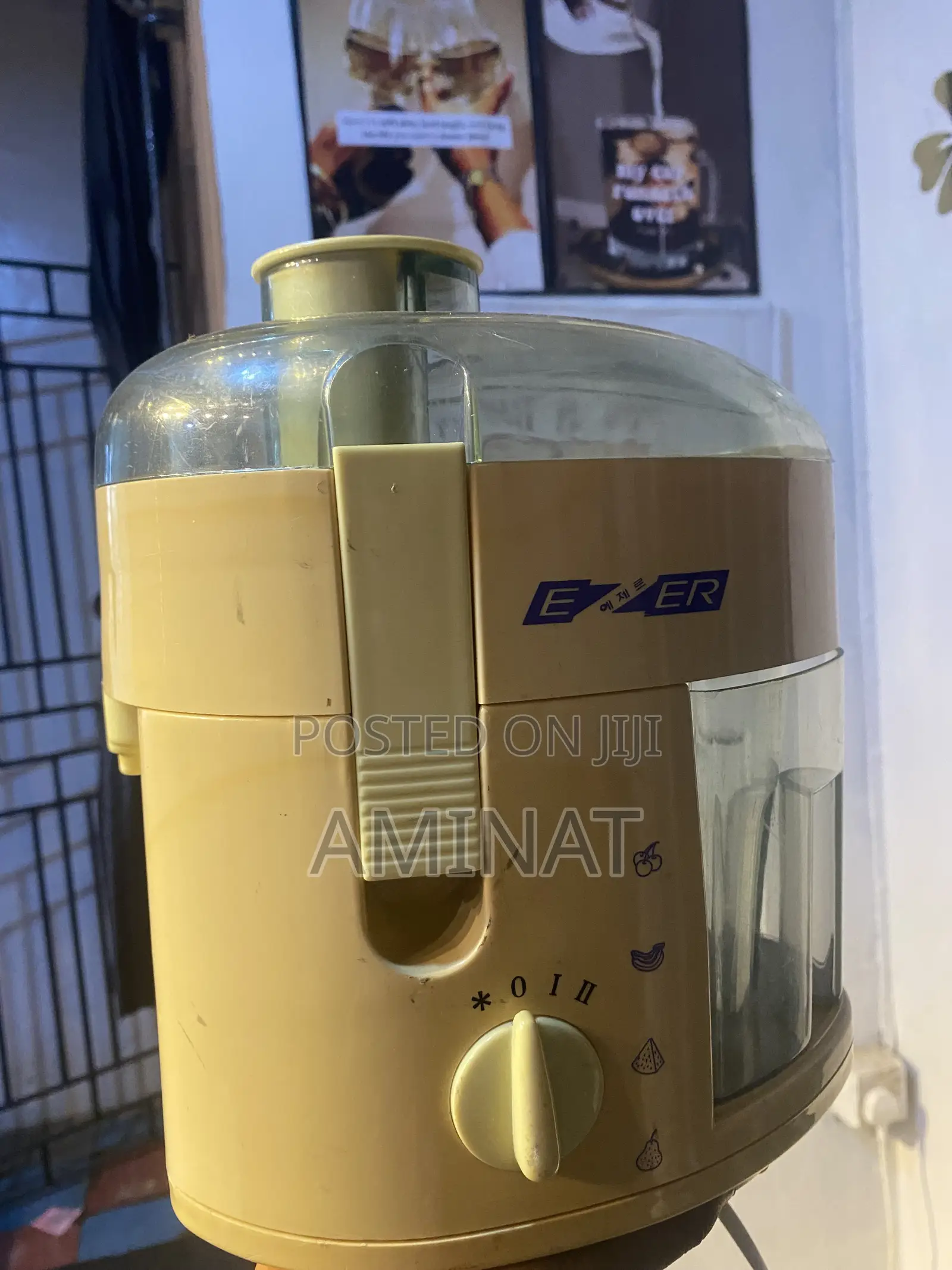 Medium Sized Juicer