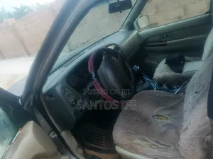 Nissan Pathfinder Automatic 2000 Gray