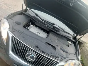 Lexus RX 350 2010 Gray