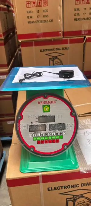 Electronic Scale