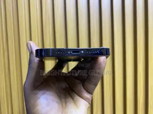 Apple iPhone 14 Pro Max 1 TB Black