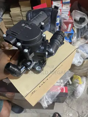 Complete Thermostat Hyundai Genesis
