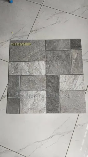 Quality Tiles for Toilet Floor and Walkway