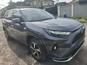 Toyota RAV4 XLE AWD 2024 Gray