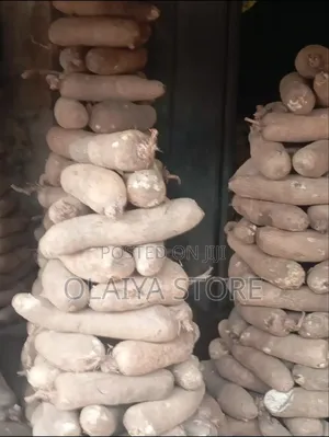 Nigeria White Yam