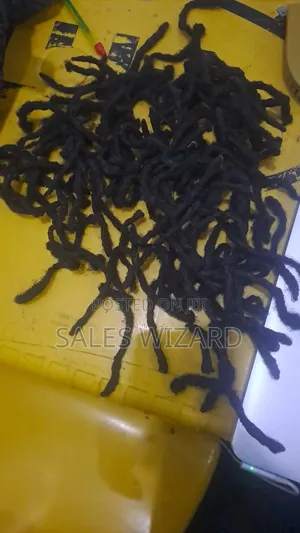 Clean Natural Dread Hair