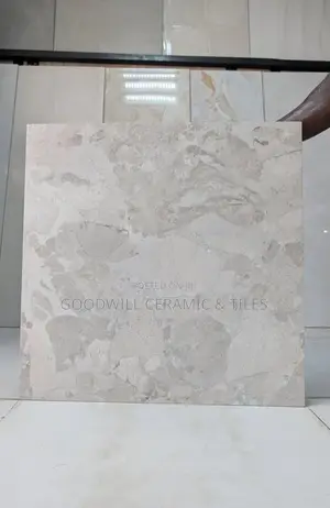 Robust Beich Porcelain 60x60cm