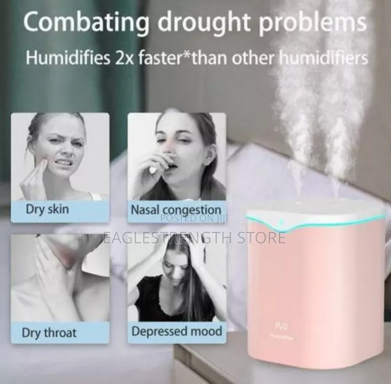 Air Humidifier