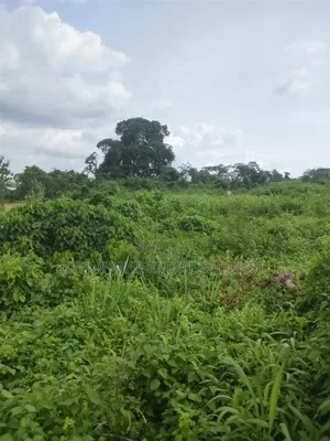 1 Acre of Land for Sale Inside Akufo Town Ibadan.