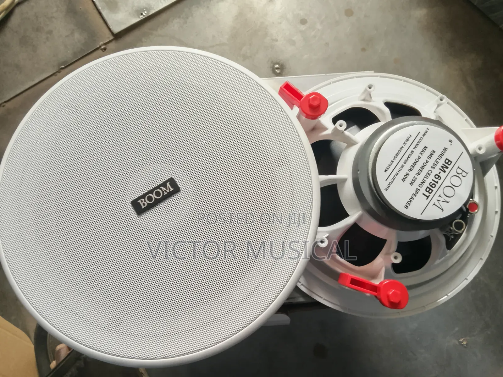 Boom Ceiling Speaker