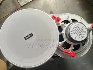 Boom Ceiling Speaker