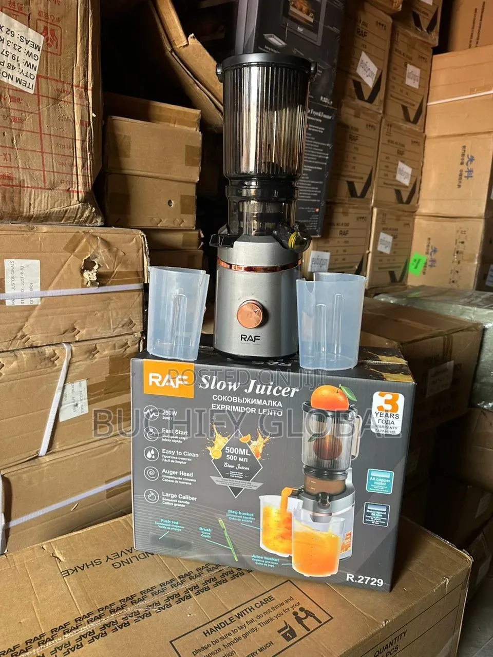 Raf Slow Juicer 250w