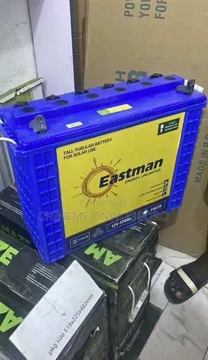 Eastman 250a Tubular Battery