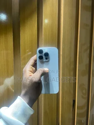 Apple iPhone 16 Pro 256 GB Silver