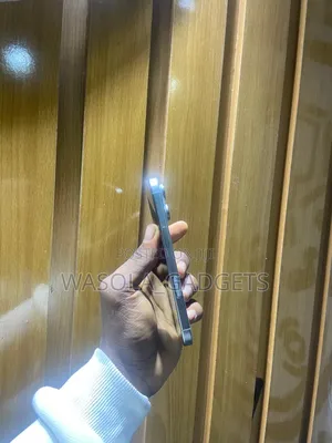 Apple iPhone 16 Pro 256 GB Silver