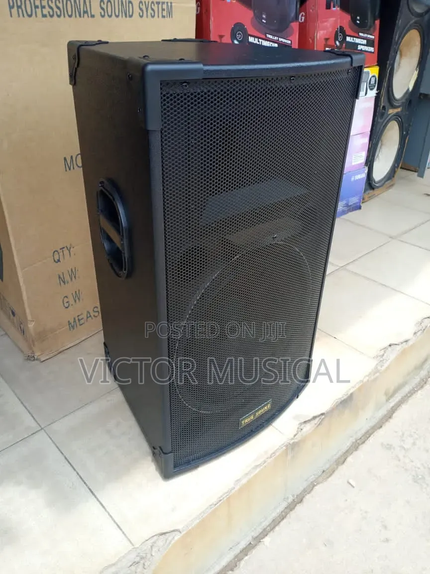 Mid Range Speaker