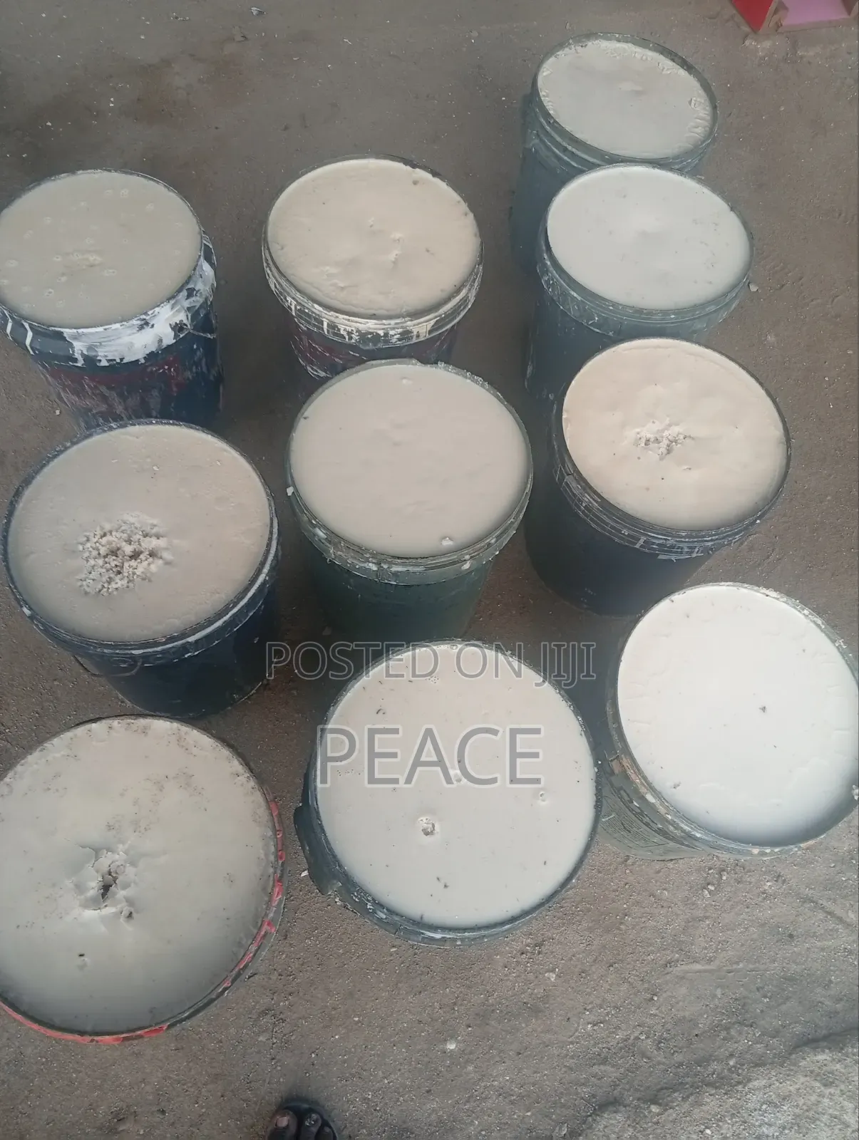 Clean Tallow Oil