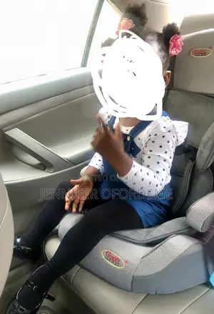 Grace Toddler 2in1 Car Seat and Booster