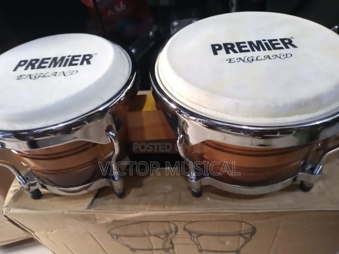 Bongo Drum