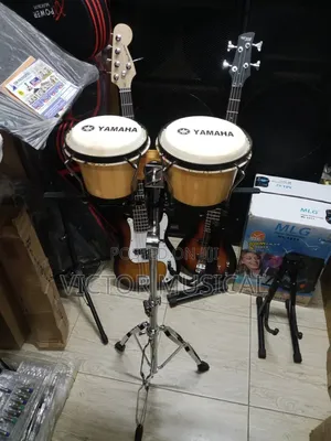 Bongo Drum