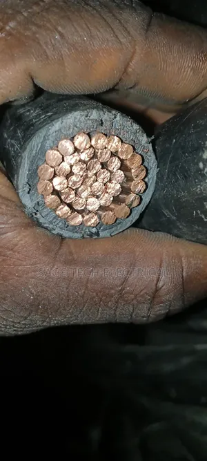 300mm Single Core PVC PVC Armoured Cable