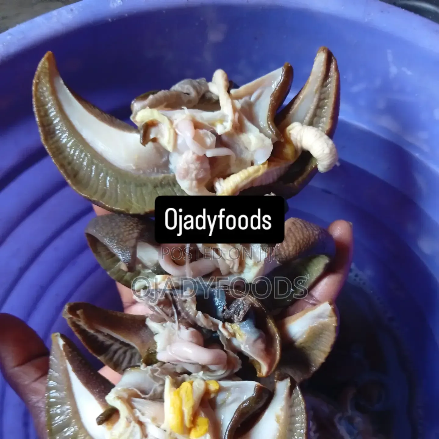 Oven Dried Snails