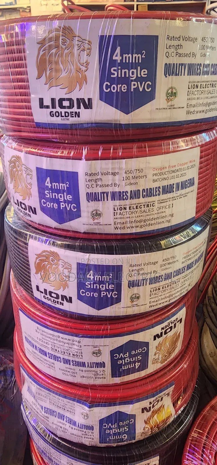 Lion Golden Wire