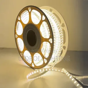 Warm White Ropelight (Smd)