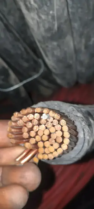 500mm Single Core PVC PVC Armoured Cable