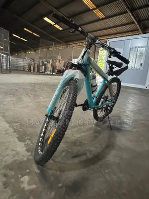 S100 Heavy Duty 26-inch Mountain Bicycle - 21-speed Gear Bicycle