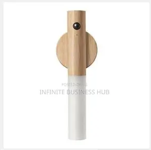 Wall Mounted Motion Sensor Lamp