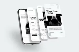 Professional Website Design E-Commerce Store Setup