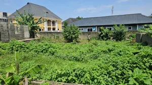 Half Plot of Land 60ft by 60ft at Withington Estate, Igesu Ayobo
