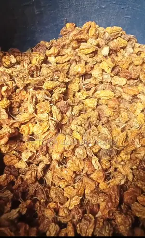 Dry Nsukka Yellow Pepper 1kg