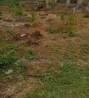 Land Agreement