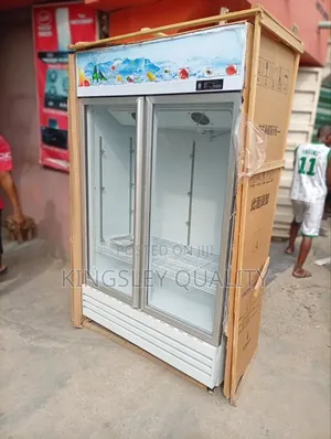 Industrial Double Doors Chiller
