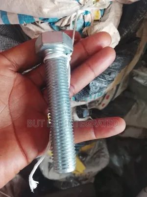 Bolt and Nut M16x100