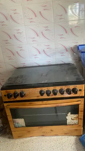 Fairly Used Nexus Gas Cooker