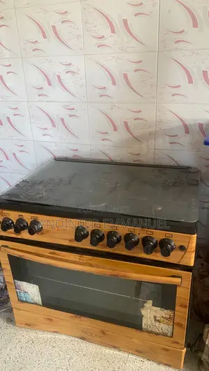 Fairly Used Nexus Gas Cooker