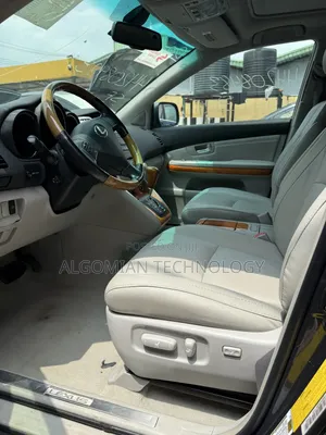 Lexus RX 350 2008 Gray