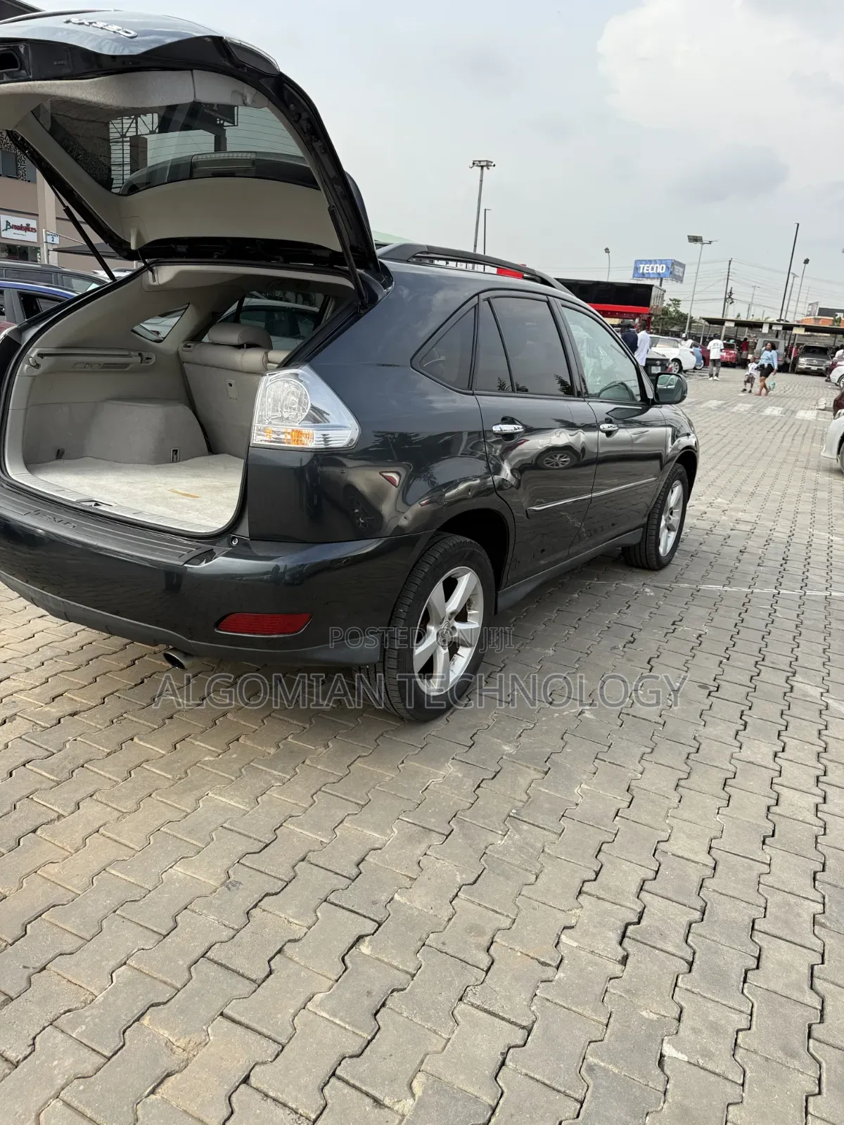 Lexus RX 350 2008 Gray