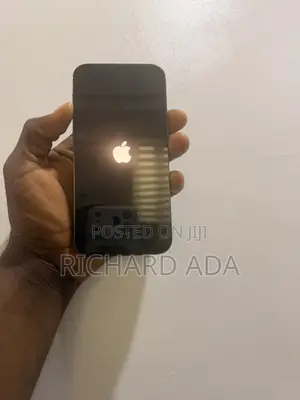 Apple iPhone 12 Pro 256 GB Gray