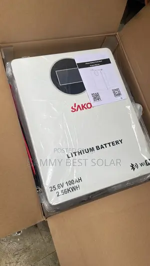 Sako 2.5kwh 24v Lithium Ion Battery
