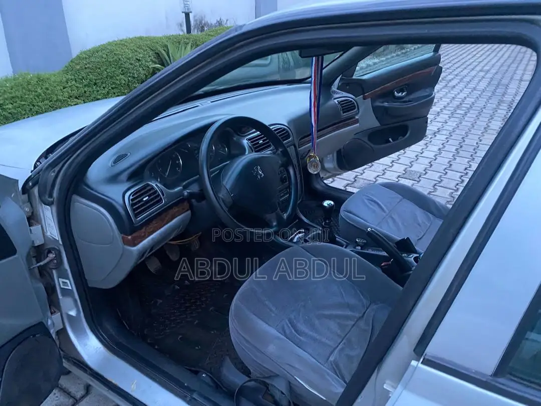 Peugeot 406 2009 Silver