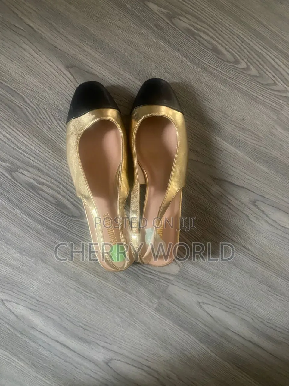 Cushionaire Shoes